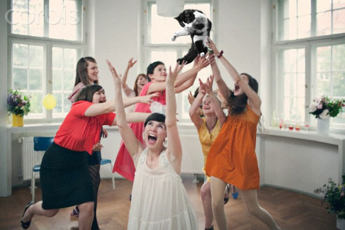 brides-throwing-cats-2