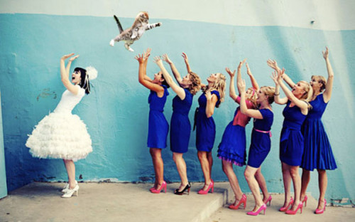 brides-throwing-cats-6