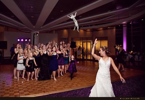 brides-throwing-cats-8